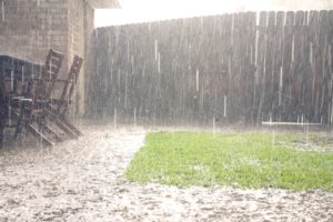 Backyard Rain in Louisville Every Drop