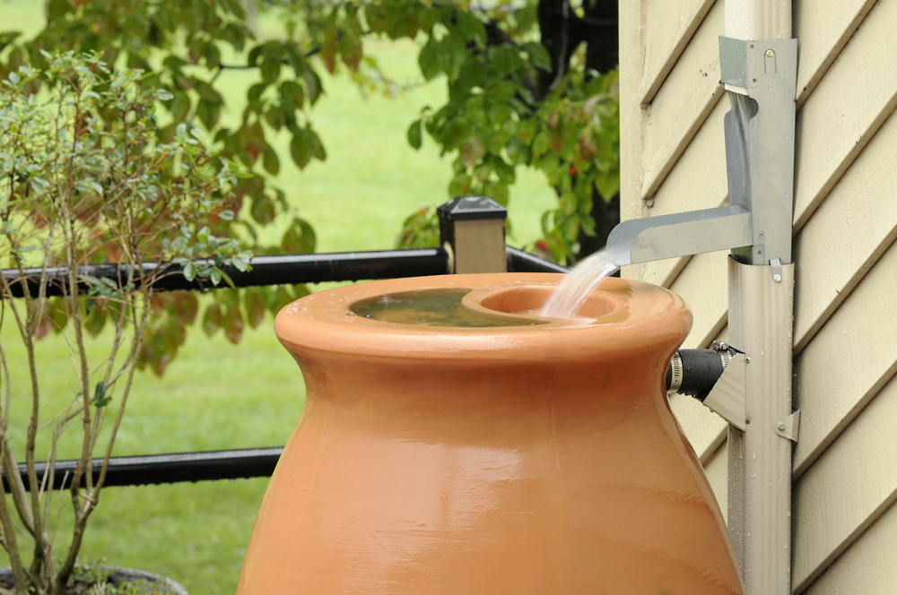 Rain Barrel with alternative spout to save water in Louisville, KY 69098590