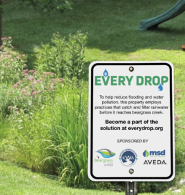 Everdrop.org sign in rain garden Everdrop.org sign in rain garden